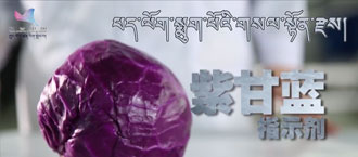 未標(biāo)題-1.jpg
